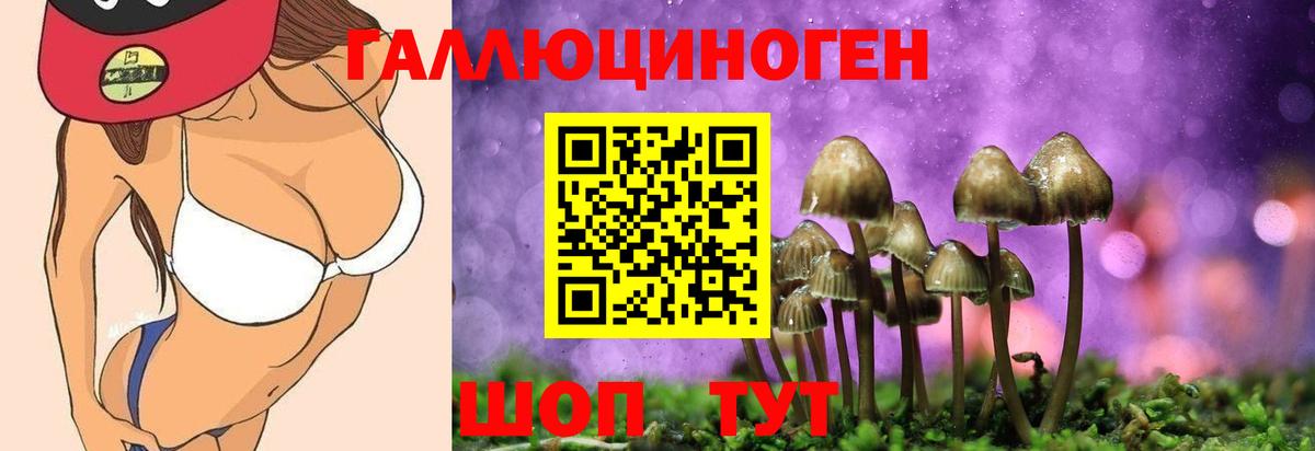 Псилоцибиновые грибы Psilocybine cubensis Ессентуки