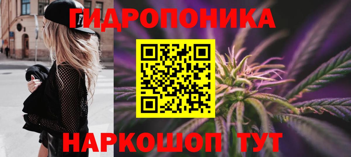Шишки марихуана Amnesia  Вход с VPN  Марихуана марихуана  Ессентуки 
